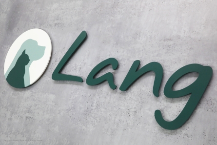 Lang - 3D-Logo & Buchstaben aus matt lackiertem Acrylglas