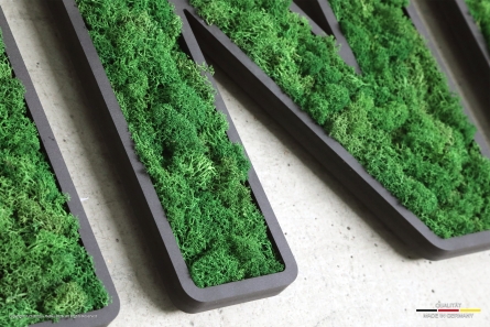 INICOM - Moos-Logo und Buchstaben mit echtem Moos