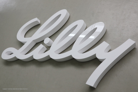 Lilly - Großes Wandlogo mit einer Schreibschrift aus Styropor + Plexiglas