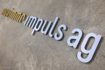 msv immo impuls ag - 3D-Schriftzug