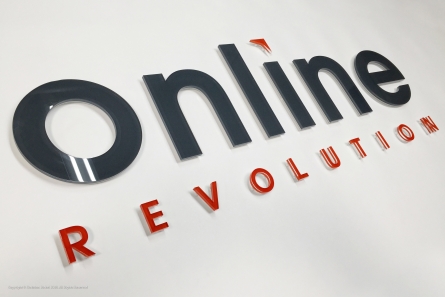 Online Revolution