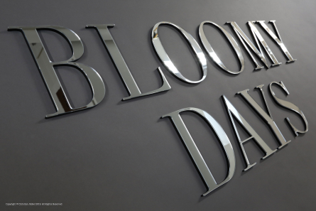 BLOOMY DAYS - Wandbuchstaben