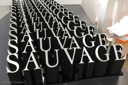 SAUVAGE - 3D Shop Logos