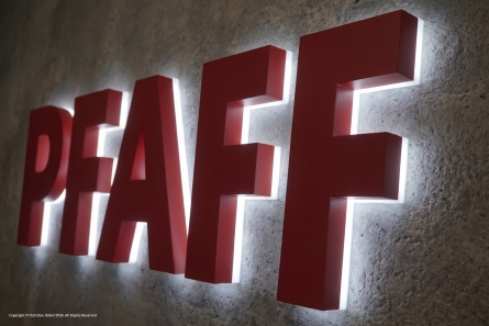 PFAFF - Leuchtbuchstaben aus Edelstahl - Profil 3 Premium