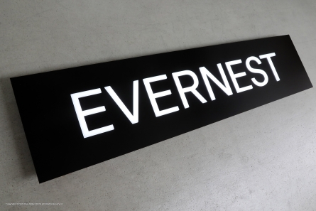 EVERNEST - Leuchttransparent mit durchgesteckten Leuchtbuchstaben