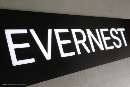 EVERNEST - Leuchttransparent mit durchgesteckten Leuchtbuchstaben