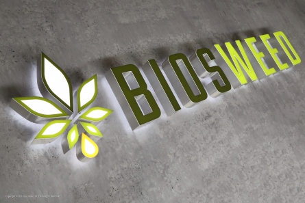 BIOSWEED - Leuchtreklame mit Profil 6 Buchstaben in Edelstahloptik