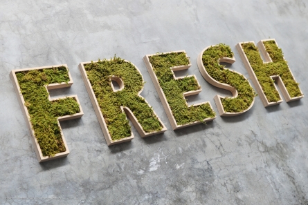 FRESH - Nachhaltige Moosbuchstaben aus Multiplex