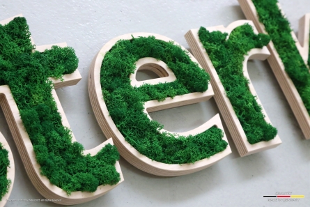 Sterkrader - Moos-Logo mit Buchstaben aus Holz
