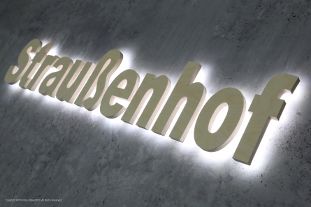Straußenhof - Leuchtbuchstaben aus Holz