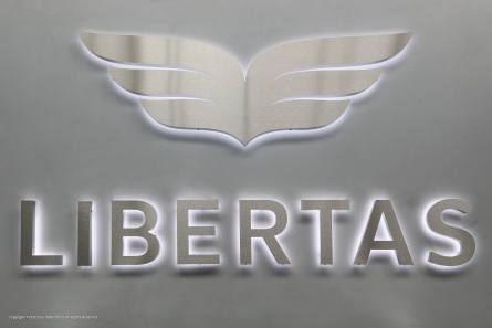 LIBERTAS - Profil 3 Leuchtbuchstaben aus Edelstahl