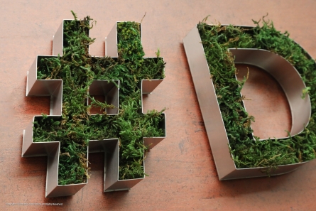 #DHS - Hashtag und Buchstaben mit echtem Moos