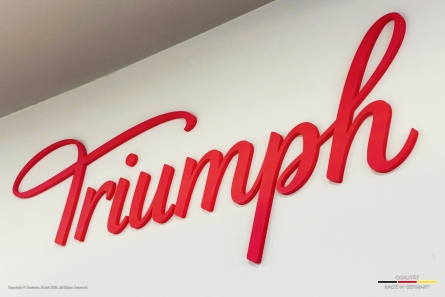 Triumph - 3D-Buchstaben aus matt lackiertem Acrylglas