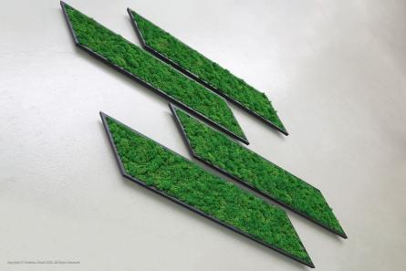 Fusion Bionic - Moos-Logo für die Bürowand