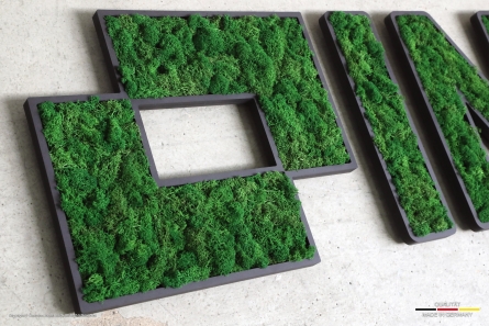 INICOM - Moos-Logo und Buchstaben mit echtem Moos