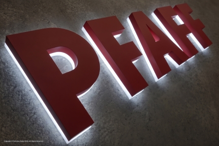 PFAFF - Leuchtbuchstaben aus Edelstahl - Profil 3 Premium