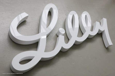 Lilly - Großes Wandlogo mit einer Schreibschrift aus Styropor + Plexiglas