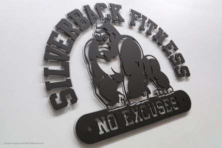 3D-Buchstaben und Logo für ein Fitness-Studio in der Schweiz.