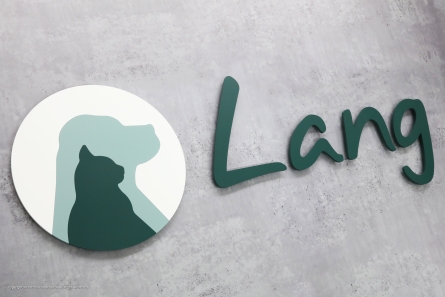 Lang - 3D-Logo & Buchstaben aus matt lackiertem Acrylglas
