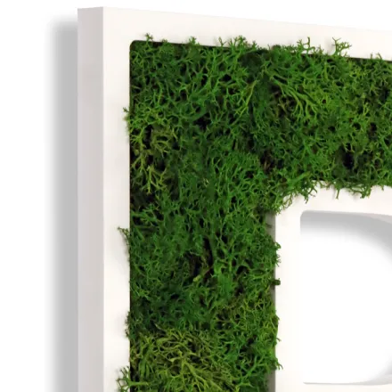3D Buchstaben mit echtem MoosNac...
