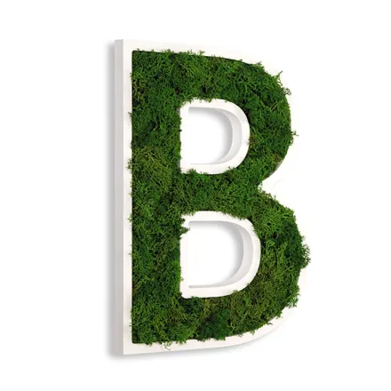3D Buchstaben mit echtem MoosNac...